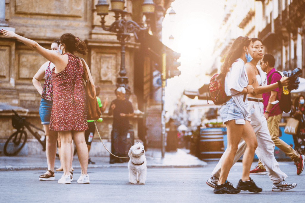 Men and women walking on a street in the late afternoon. One woman holds a leash with a small white dog.