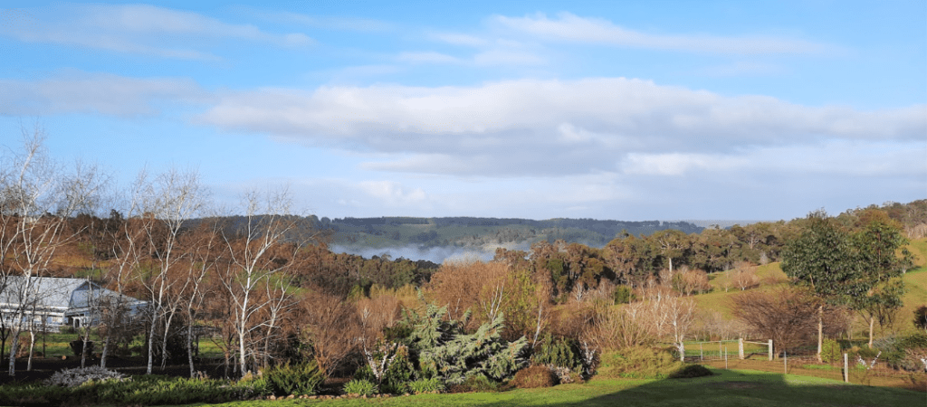 View of the countryside, a misty morning in Bridgetown Western Australia