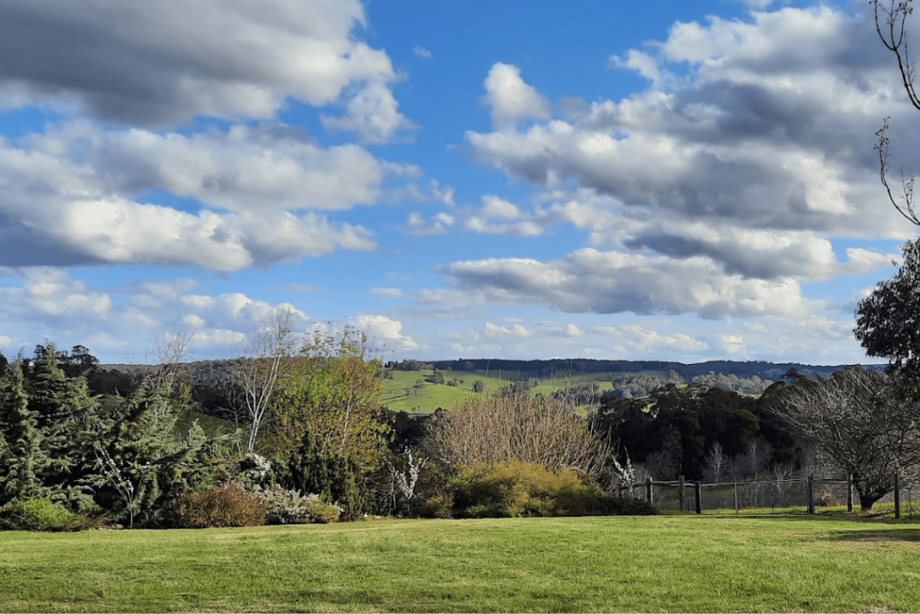 View in Bridgetown Western Australia green hills, trees and grass.