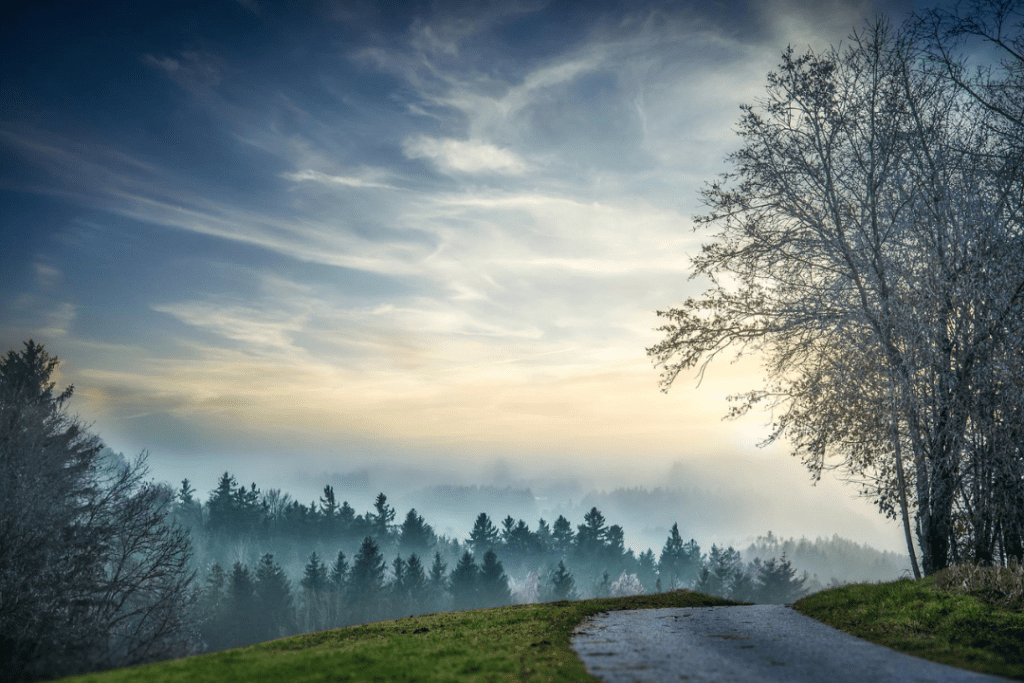 Country road over a crest with trees on each side of the road and misty sky.