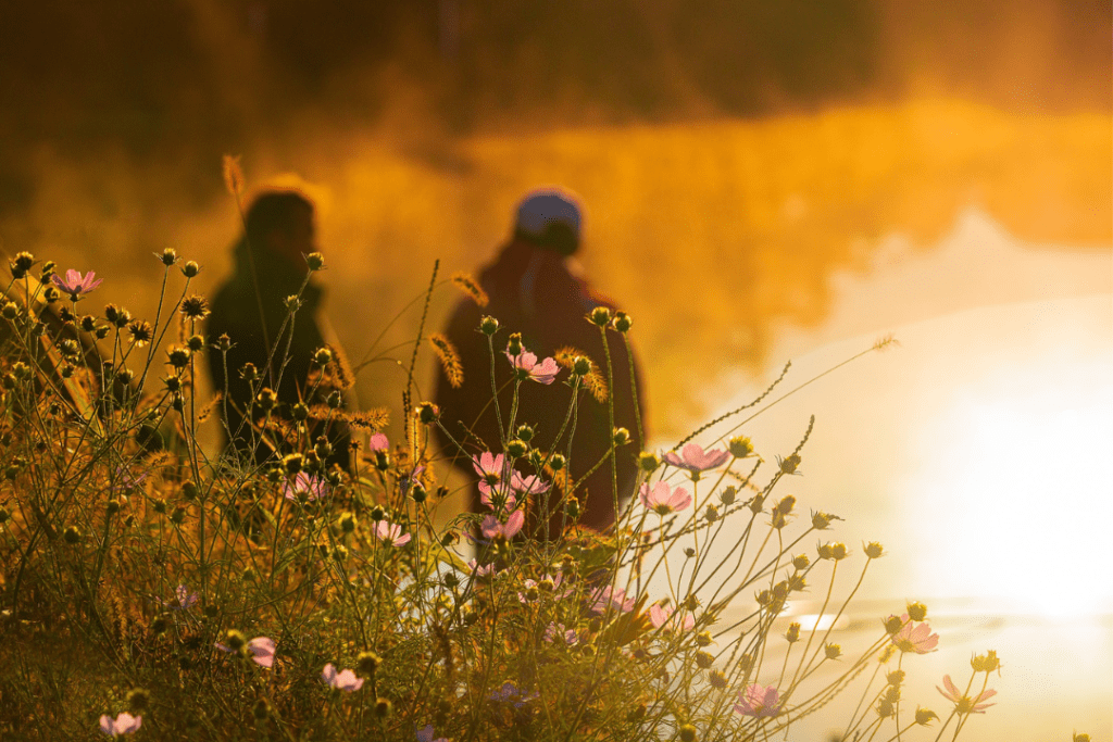 Wild flowers in the foreground. Two people standing on a beach in the background.