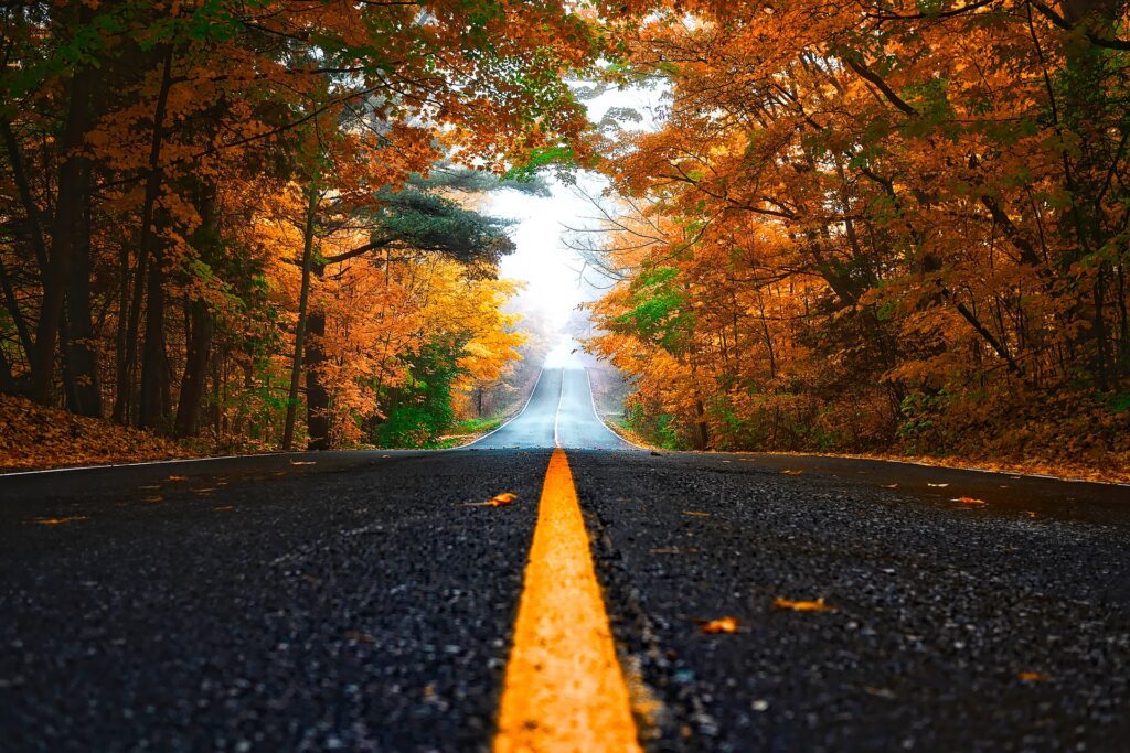 Country road with autumn trees with orange leaves on each side of the road.