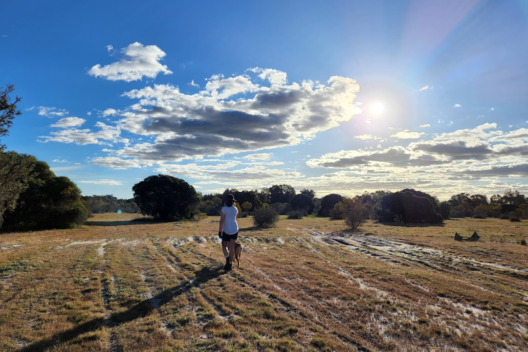 A teenager is walking in a field of grass and trees with a dingo.