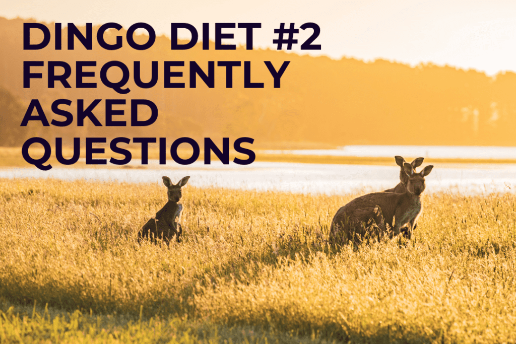 3 kangaroos in a field of grass with water behind them. Text on image: Dingo diet #2 Frequently asked questions