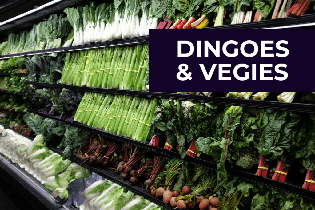 Vegetables in a supermarket. Text reads: dingoes and vegies.